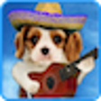 Icono de programa: Funny cats. Funny dogs.
