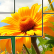Icon of program: Jigsaw Paradise