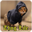 Icono de programa: Thug Life Funny Videos