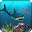Icono de programa: Big Shark Vs Small Sharks
