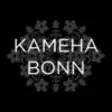 Icon of program: KAMEHA