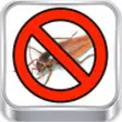Icon of program: Bugs !!!