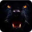 Icon of program: Black Panther Safari Hunt…