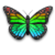 Icon of program: HP Scan and Capture for W…