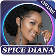 Icono de programa: Spice Diana songs offline