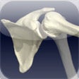 Icon of program: Functional Anatomy for Mo…