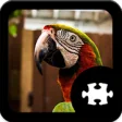Icon of program: Parrot Jigsaw Puzzle