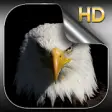Icon of program: Eagle Live Wallpaper HD