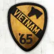 Icon of program: Vietnam...'65