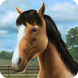 Icon of program: My Horse