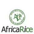 Icon of program: AfricaRice