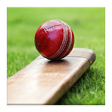 Icon of program: Cricket Dictionary