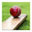 Icon of program: Cricket Dictionary