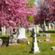 Icon of program: Evergreen Cemetery