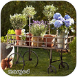 Icono de programa: Garden Design Ideas