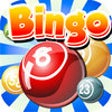 Icon of program: Bingo Journey - Multiple …