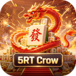 Icono de programa: 5RT Crow