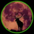 Icon of program: A Deer Hunting Sniper Gam…