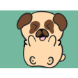 Icon of program: Boomer The Pug