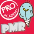 Icon of program: PMR Free - MyProAcademy