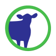 Icon of program: Cattle Market Mobile