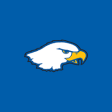 Icon of program: Hilbert College Hawks