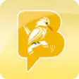 Icon of program: BirdsBeep