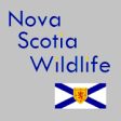 Icon of program: Nova Scotia Wildlife