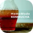 Icon of program: Easy Kombucha Tea - Best …