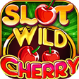 Icon of program: Wild Cherry Double Slots