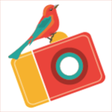 El Collagero for Windows 10 icon