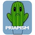 Icon of program: Priapism Disease