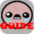 Icon of program: Guide for BOI