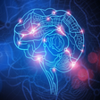 Icon of program: Neurology Medical Terms Q…