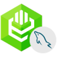 Icon of program: Devart ODBC Driver for My…