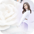 Icono de programa: White Rose Photo Frame