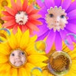Icon of program: Best Flower Photo Frames …
