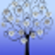 Icono de programa: Diamond Decorator Live