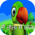 Main Tota Hare Rang Ka :offline video icon