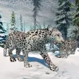Icon of program: Arctic Leopard Family Sno…