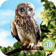Icono de programa: Wild Owl Simulator 3D