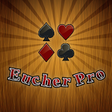 Icono de programa: Euchre