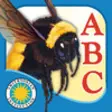 Icon of program: Alphabet of Insects