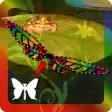 Icon of program: Butterfly Game