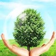 Icon of program: ECO ENZYME CALCULATOR