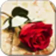 Icon of program: Red Rose Live Wallpaper