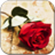Red Rose Live Wallpaper icon