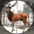 Icon of program: Jungle Animal Hunter Pro …