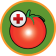 Icon of program: Tomato diseases