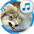 Icono de programa: Howling Wolf Sounds Of Wo…